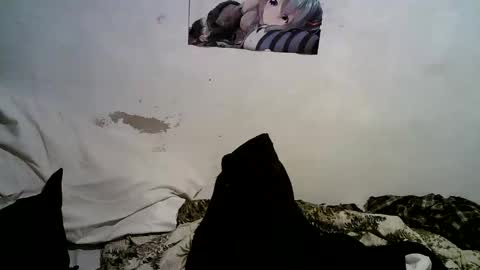 nikuroya online show from September 15, 8:16 am