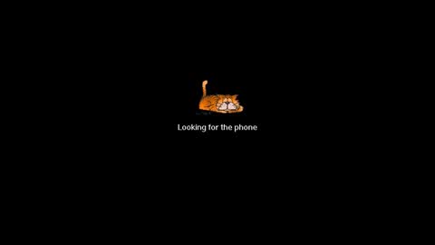 Snapshot of ninfo_puta chatting on March 1, 9:07 am Ninfo Puta online show from March 1, 9:07 am