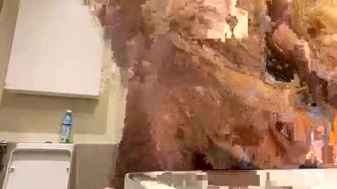 nnm110 online show from January 27, 5:58 am