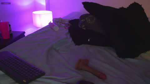 noah_0814 online show from April 11, 7:45 am