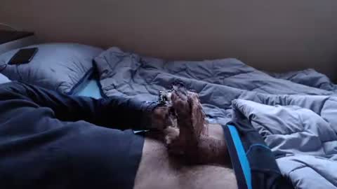 noksha online show from January 19, 3:10 pm