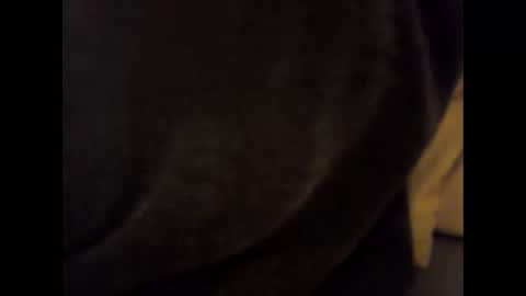 nolplus online show from February 15, 6:48 am