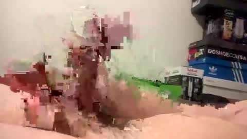 nolplus online show from February 11, 6:51 am