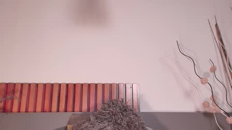 Nora Da Silva online show from September 29, 11:26 pm