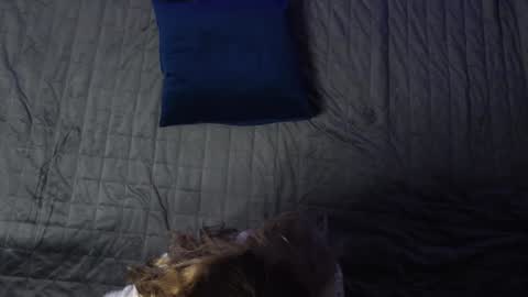 Eva online show from December 11, 12:12 pm