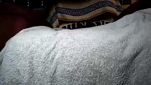 nottoobored online show from July 14, 2:05 am
