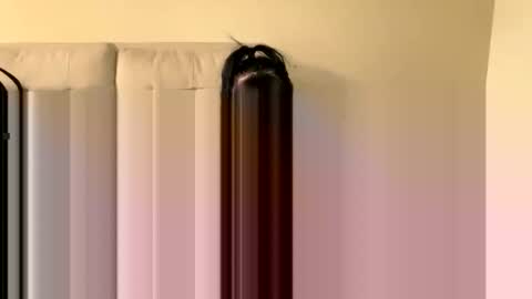 novahh_syxxx online show from February 5, 3:32 am