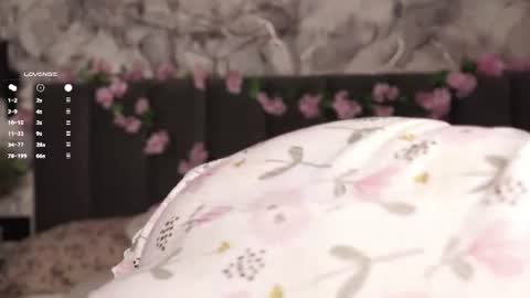 Dina online show from July 5, 1:31 am