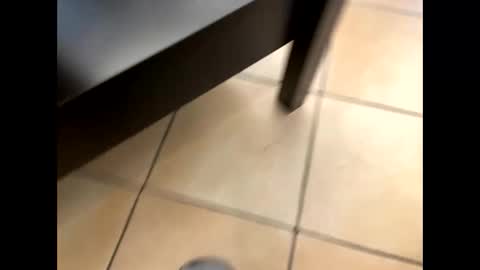 oggs48 online show from October 22, 11:45 am