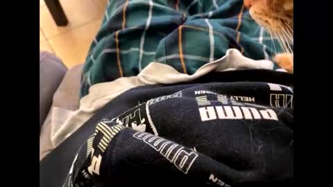 oggs48 online show from October 31, 1:22 pm