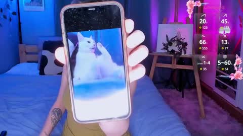 Light  online show from December 22, 7:54 am