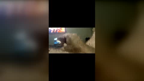 ojeremiah1961 online show from February 23, 3:42 am