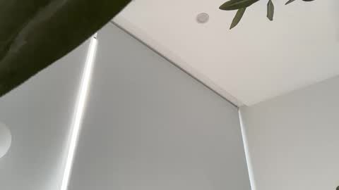 Olivia Brookes online show from November 30, 9:11 pm