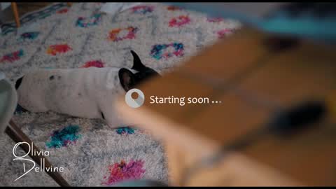 Olivia online show from December 5, 1:42 am