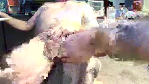 Unpredictable online show from January 19, 3:10 pm