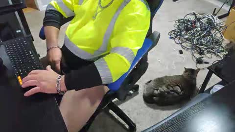 Unpredictable online show from September 22, 12:20 pm