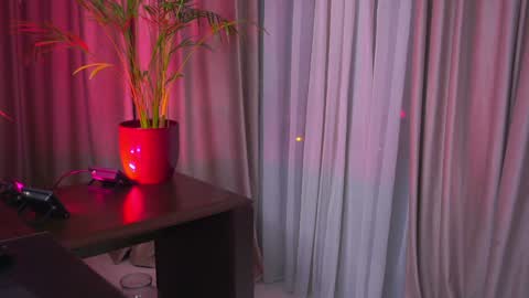 Nicolle online show from February 2, 12:30 am