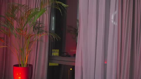 Nicolle online show from January 30, 1:11 am