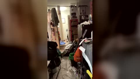 TsJojo online show from February 6, 11:24 am