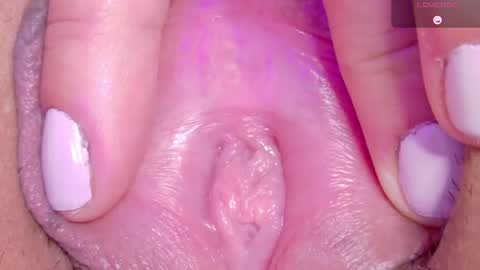 orchidekitty online show from May 10, 1:45 am