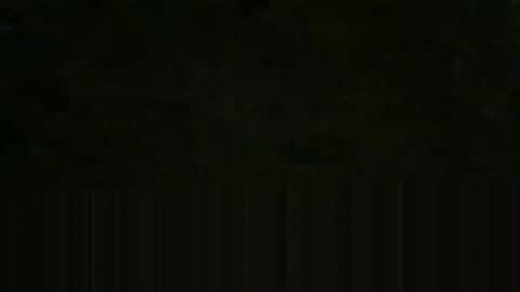 oretrail online show from February 26, 12:14 am