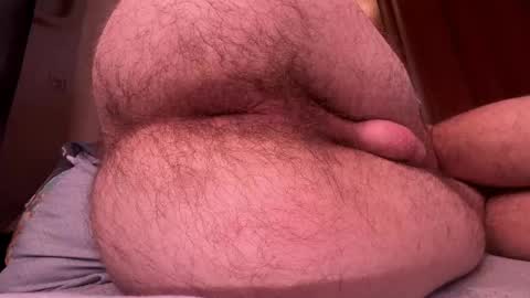 origamicat online show from November 8, 9:07 pm