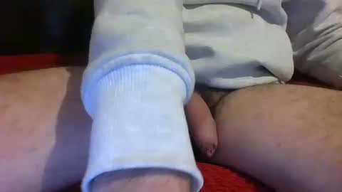 ornytologist online show from January 17, 9:49 am