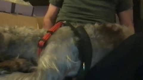 rossignol online show from January 16, 6:14 am