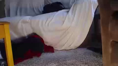 otokonojoshi online show from October 14, 1:25 pm