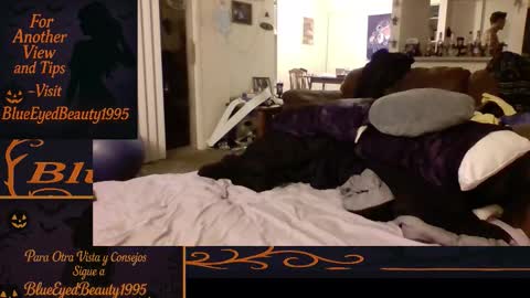 ovissbmson online show from November 1, 4:22 am