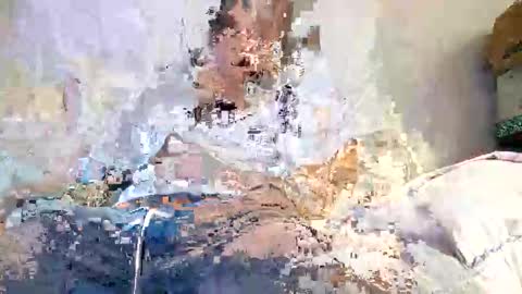 pandadaddys online show from November 1, 12:59 pm