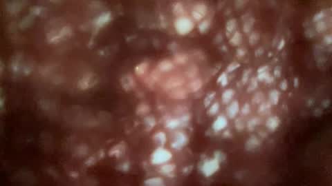 Pantiesofthefae online show from November 11, 4:09 pm