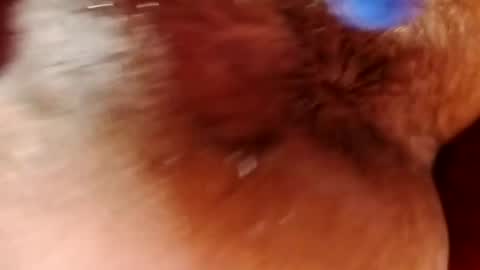 lluvia online show from June 13, 10:47 am