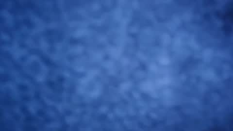 papilly online show from April 2, 12:29 am