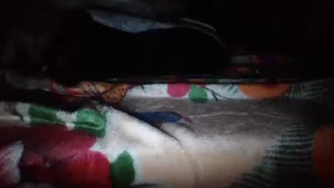 papi mexicano en boxers online show from November 20, 6:45 am