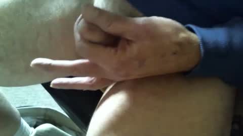 Shmoo online show from November 13, 7:49 pm