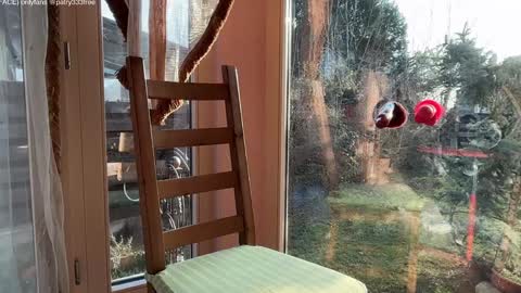 Andreea online show from March 16, 5:44 am