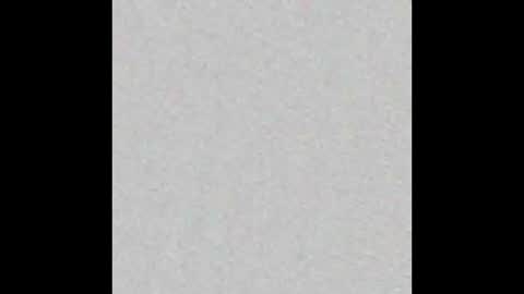 Pau online show from February 17, 12:04 pm