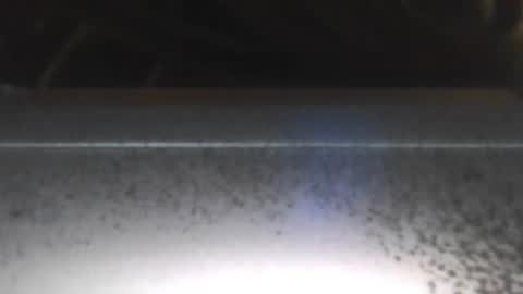 paulstetson online show from December 26, 8:00 pm