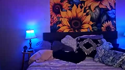 Pawgtattmilf wBwc  Toys online show from August 3, 6:48 am