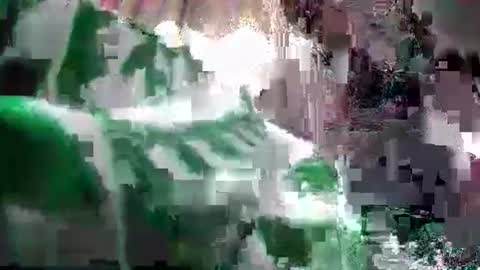 Coco channel  online show from December 24, 6:22 am