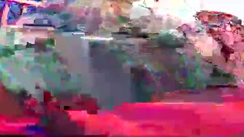 Coco channel  online show from December 20, 1:11 pm