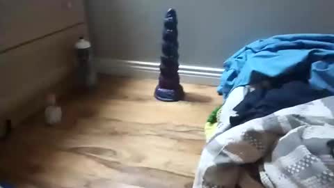 perdz768563 online show from March 22, 11:31 pm