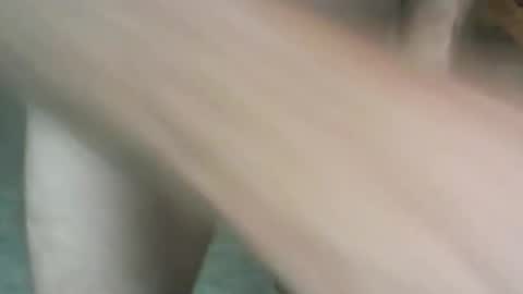 pete online show from February 21, 10:28 am