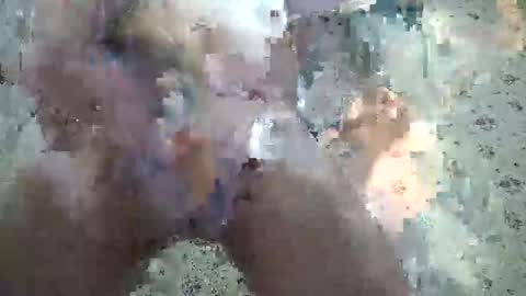 travis online show from October 17, 10:25 pm