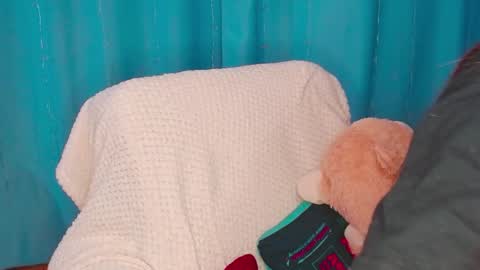 Pikachu pika online show from December 1, 8:44 pm