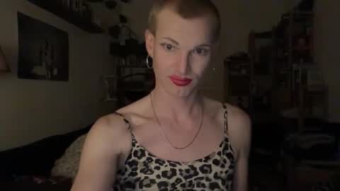 pinkfag online show from December 19, 1:23 am