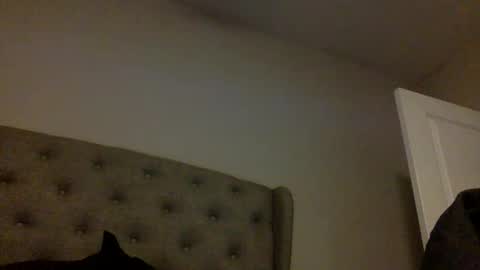 pinksugar online show from March 4, 8:44 am