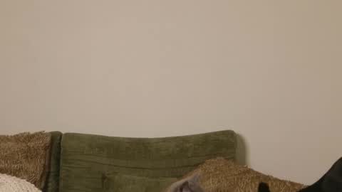 Snapshot of pixiemanicdreamboy chatting on October 27, 11:49 pm Juju online show from October 27, 11:49 pm