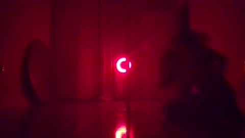 Planetvee online show from November 7, 2:36 am